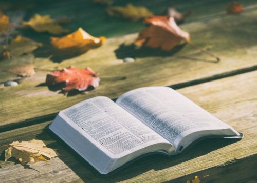 Scripture Memorization and Meditation: Biblical Tools for Handling Life's Challenges 3