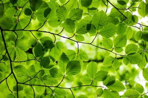 5 Beliefs That Are Rooted in Childhood Trauma