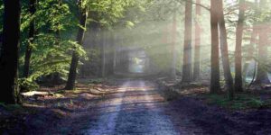 Healing the Heart: Affair Recovery 1