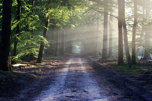Healing the Heart: Affair Recovery