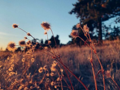 How the World Sees Your ADHD (and What God Says)