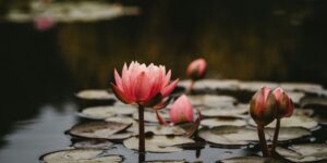 What Does Adultery Mean? Dealing Effectively with Infidelity 1
