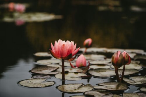What Does Adultery Mean? Dealing Effectively with Infidelity