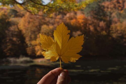 9 Mindfulness Exercises for Anxiety 2