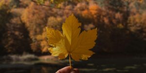 9 Mindfulness Exercises for Anxiety 4